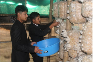 विद्यालयमै  च्याउखेती   