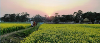 आसामभित्रको नेपाल ः हटेन गोठाले दुःख, तैपनि जोगाएकै छन् पुख्र्यौली संस्कृति   