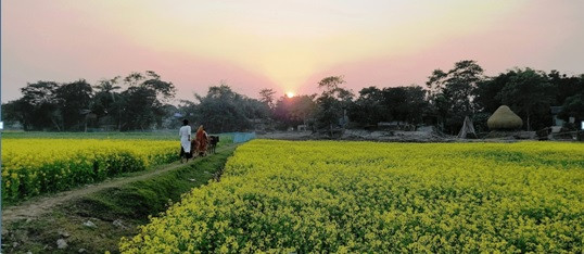 आसामभित्रको नेपाल ः हटेन गोठाले दुःख, तैपनि जोगाएकै छन् पुख्र्यौली संस्कृति   