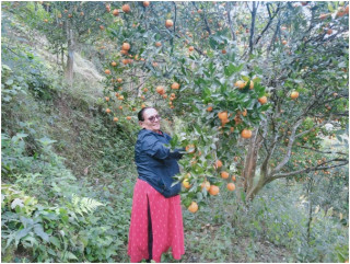 २९ वर्ष बालबालिकासँग, अहिले सुन्तलासँग रमाउँदै ‘तारा’  
