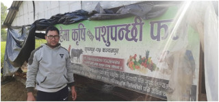 वैदेशिक जागिर छाडेर भैँसीपालन, मासिक ७० हजार आम्दानी