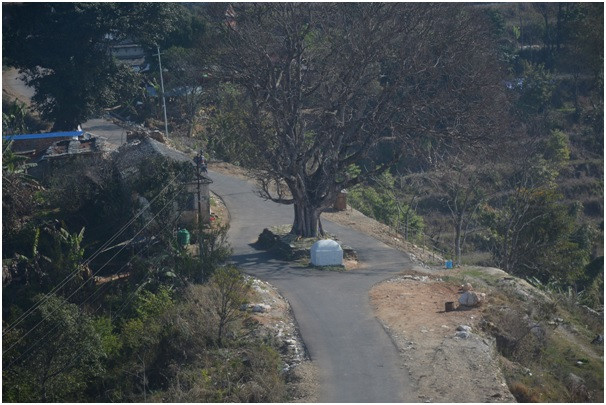 किन सुस्तायो भाइरल तनहुँसुर ?   