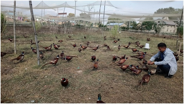 अवकाशपछि कालिजपालन   