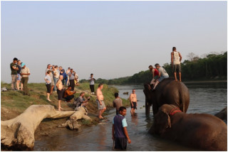 पर्यटकको रोजाइ बन्दै पटिहानी   