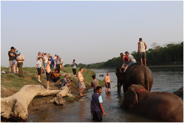 पर्यटकको रोजाइ बन्दै पटिहानी   