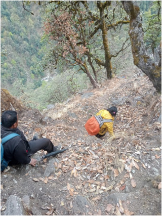 बाटोकै सास्ती   