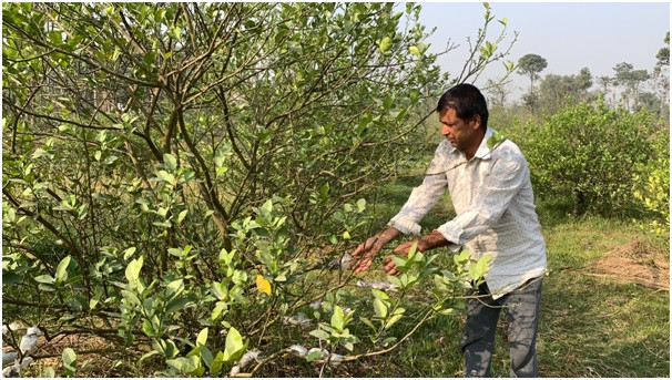 कागतीखेतीबाट रु २० लाख आम्दानी   