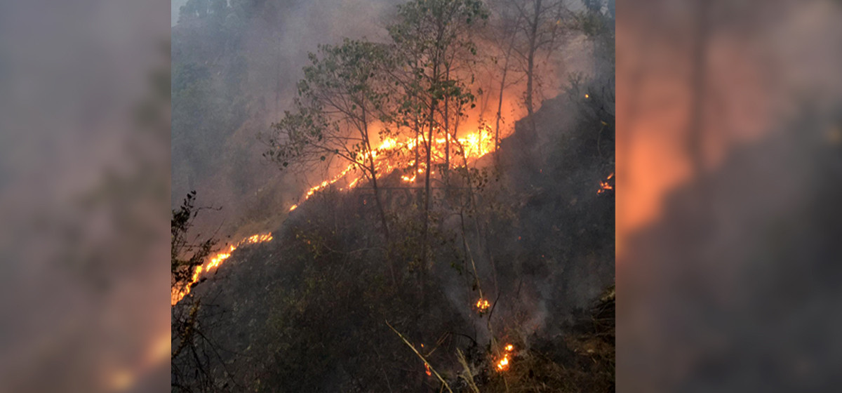 धुँवाले बस्ती ढाकियो   