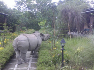 आठ वर्षमा दुई सय बीस गैँडा मरे   