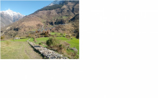 साइपालमा खाद्य सङ्कट, सिंहदरबार नधाएर पुग्दैन चामल  