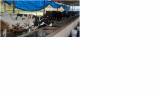 अनुदान उत्पादनमा प्रेरक   