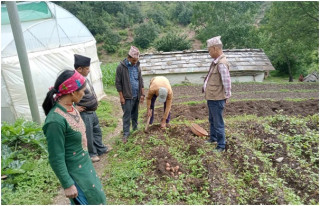 अब मजदुरी गर्न भारत जाँदैनन् आनन्दपुरका किसान     