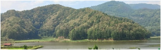  अझै हुन सकेन ‘हरियो वन, नेपालको धन’ 