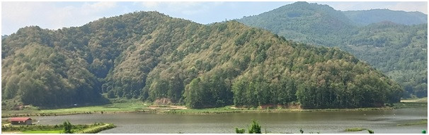  अझै हुन सकेन ‘हरियो वन, नेपालको धन’ 