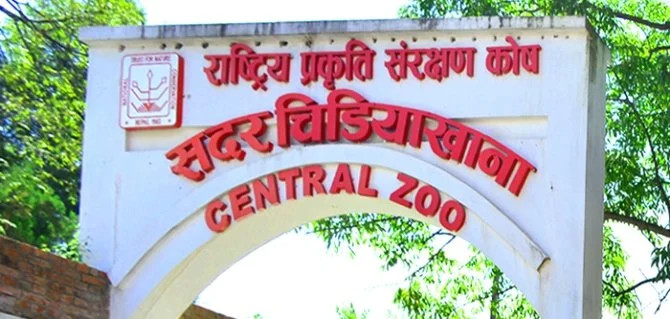 गत आवमा चिडियाखानाको आम्दानी रु १७ करोड ७५ लाख, लक्ष्यमा पुग्न सकेन   