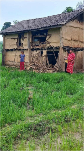 हात्तीले घर भत्काउन थालेपछि ...   