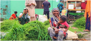 नेपालगन्जका घँसियार भन्दछन् ःघाँसको मूल्य निर्धारण गरिदिनुपर्यो