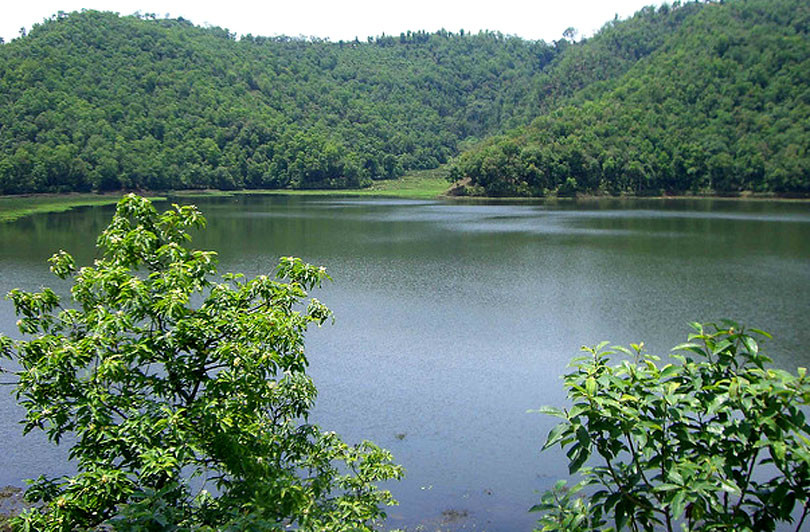 मोती पाइन सक्छ पोखराका तालमा   