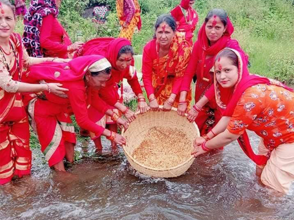 बिरुडा भिजाएर सुरु गरियो गौरा पर्वको मौलिक विधि  