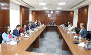 मन्त्रिपरिषद् निर्णय : विभुषण कार्य स्थगन  