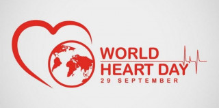   विश्व मुटु दिवस : बचाउन सकिन्छ मुटु  