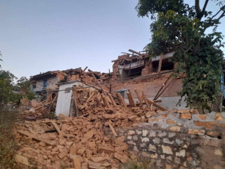    भूकम्प प्रभावित क्षेत्रमा पशुपक्षीको उपचारका लागि विशेषज्ञ टोली 
