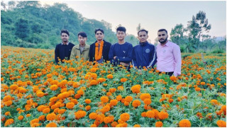 पढ्दै कमाउँदै : विद्यार्थी फूलखेतीमा रमाउँदै 