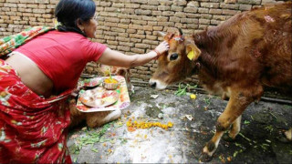 तिहारको चौँथो दिन : आज गोवद्र्धन पूजा  