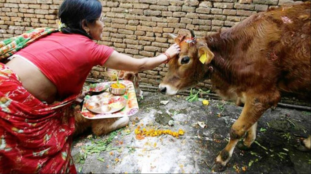 तिहारको चौँथो दिन : आज गोवद्र्धन पूजा  