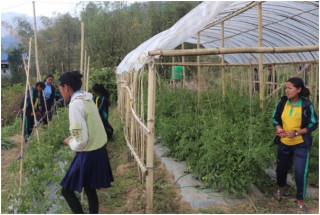 भोजपुरका विद्यार्थीको रोजाइमा प्राविधिक शिक्षा 