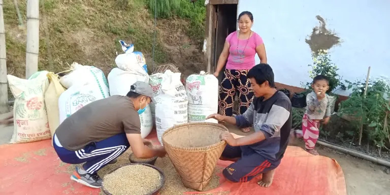 ५० मुरीभन्दा बढी धान फलाउने कृषकलाई पुरस्कार  