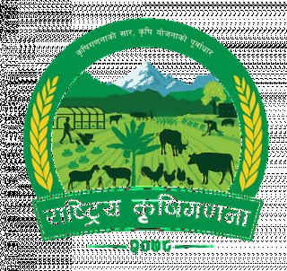 मधेसका ४३ प्रतिशत किसान परिवारलाई खाना अपुग  
