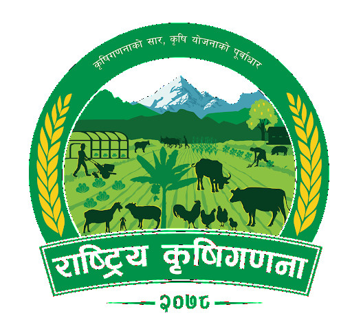मधेसका ४३ प्रतिशत किसान परिवारलाई खाना अपुग  