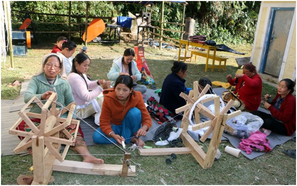 महिलाको आम्दानीको स्रोत बन्दै ‘अल्लो’   