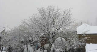 हुम्ला र मुस्ताङमा हिमपात 