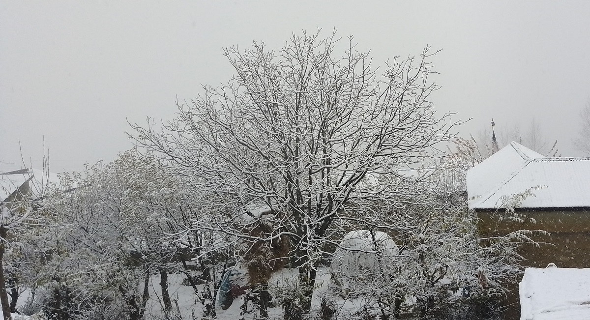 हुम्ला र मुस्ताङमा हिमपात 