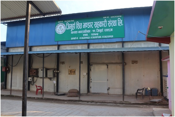 एउटै गाउँबाट साढे दुई करोडको बीउ आलु बिक्री 