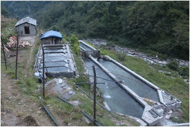 विदेशबाट फर्केर सामूहिक माछापालन 