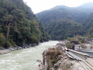 अप्पर अरुणको पहुँचमार्गका लागि दुई हजार रुख काटिने
