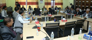 प्रस्तावित न्यायाधीसद्वय पौडेल र ढुङगानाको संसदीय सुनुवाइ