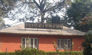  पशुपति विकास कोषबाट एक सय बढी सल्लाहकार खारेज  
