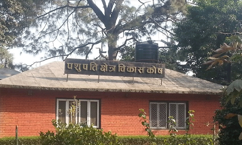  पशुपति विकास कोषबाट एक सय बढी सल्लाहकार खारेज  