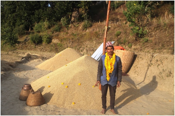  १६८ मुरी धान फलाएका मकरबहादुर बम्जन दम्पती ५० हजारबाट पुरस्कृत  