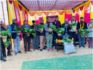 अतिथिलाई उपहार : चोयाको डोकोमा रायोको साग   