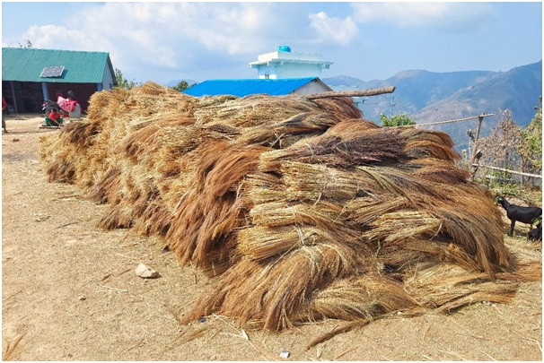 अम्रिसो बेचेर तीन करोड बढी आम्दानी   