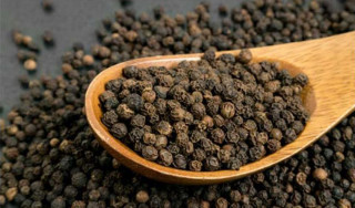   सुपारीसँगै फस्टायो मरिच खेती  