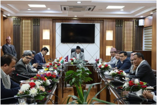 नेपाल–भारत विद्युत् व्यापार : तीन प्रसारण लाइन एकैपटक सञ्चालन  