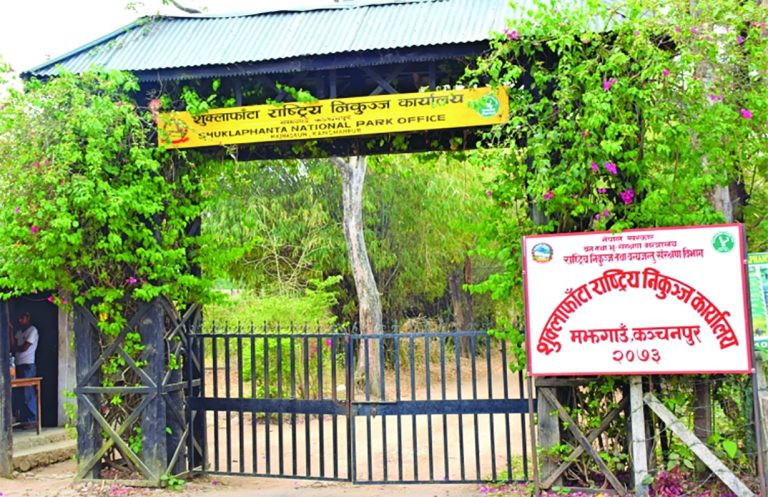 शुक्लाफाँटा राष्ट्रिय निकुञ्जमा दुर्लभ चरा चिनाउन ‘होर्डिङ बोर्ड’ 