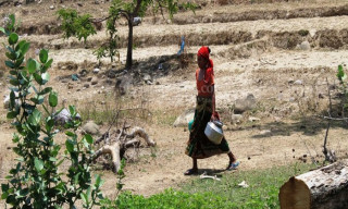 ढुङ्गा उत्खननले पानीका मुहान सुक्दै   