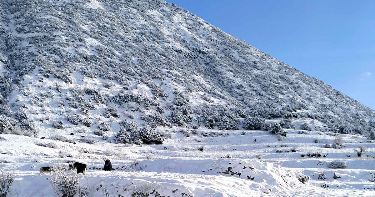 मनाङको तापक्रम माइनस २२ डिग्री सेल्सियस   